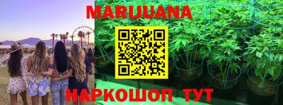прущие грибы Гуково