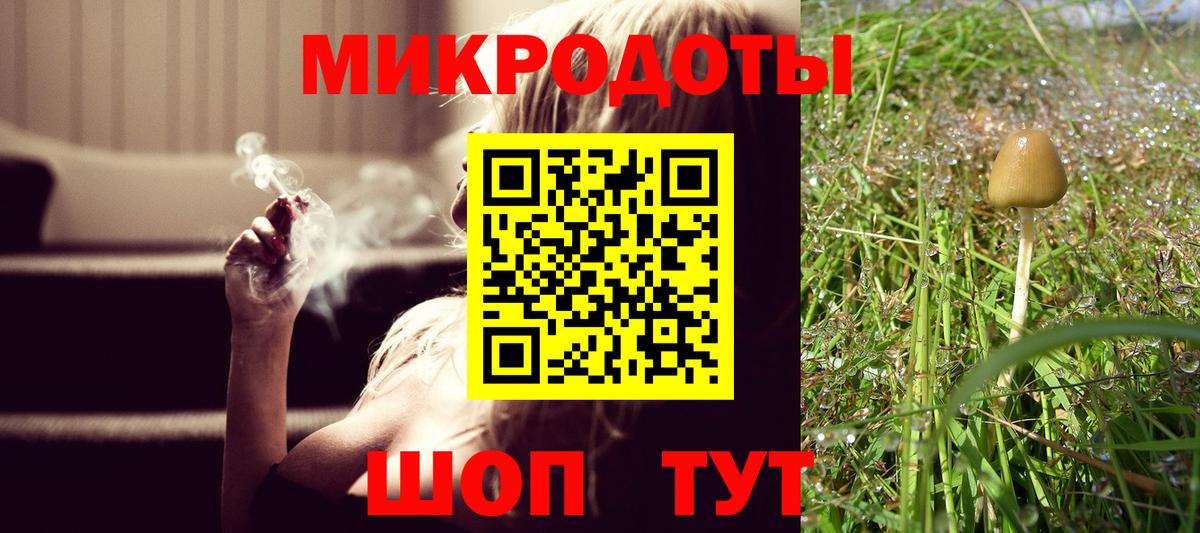 Псилоцибиновые грибы Psilocybe  Вход с VPN  Богородицк 