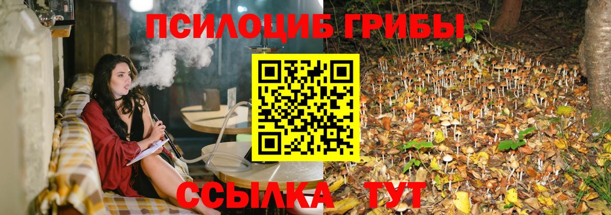 Галлюциногенные грибы Magic Shrooms Богородицк