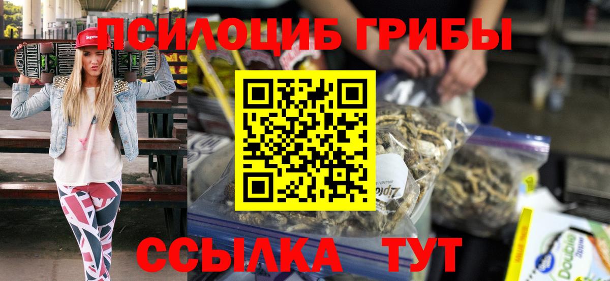 Галлюциногенные грибы прущие грибы  Богородицк  Псилоцибиновые грибы GOLDEN TEACHER 